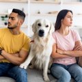 犬が人間の喧嘩を仲…