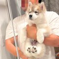 『腕もげるかと思っ…