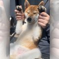 『こうするとよく乾…