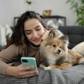 『犬が大好きな人』…