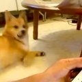 タブレットでお絵描…