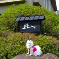 伊豆修善寺「絆」 愛…
