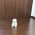 「ぬいぐるみじゃな…
