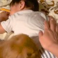 預かっていた『2歳の…