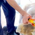 病院が大嫌いな秋田…