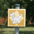 犬が人に『おしっこ…