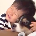 男の子が小さな時か…