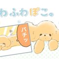 ふわふわぽこ。【第8…