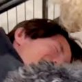 大型犬カフェにバイ…