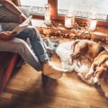 犬が『飼い主のこと…