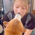 1日ぶりにお姉ちゃん…