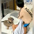 男の子2人が『毛布の…