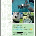 お義母さんに『大型…