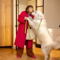 犬が散歩前に暴れて…