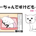 ちーちゃんですけど…