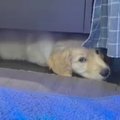 『赤ちゃんの頃はテ…