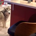 待ってたのに・・・…