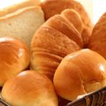 犬はパンを食べても…