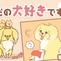 ただの犬好きです。…