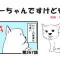 ちーちゃんですけど…