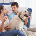 同棲カップルが犬を…