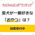 【投票受付中】愛犬…