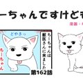 ちーちゃんですけど…