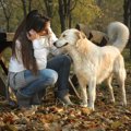 犬に好かれる方法や…