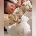 初対面の赤ちゃんを…
