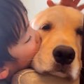 5歳の男の子が『大型…