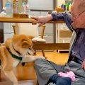 おじいちゃんを遊び…