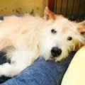 歩けなくなって2年が…