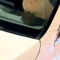 1分間だけ『犬に車で…