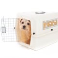 犬がケージから脱走…