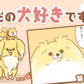 ただの犬好きです。…