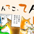 てんてこ、てん。【…
