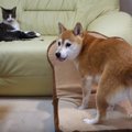 情熱のトースト職人…