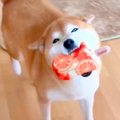 ニコニコ笑顔で嬉し…