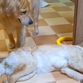 ドアの前で『通行止…