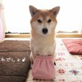 これからの時期にお…