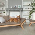 部屋が犬臭い！染み…