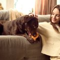 犬が『新しいモノ』…
