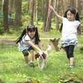 【富士すばるランド…