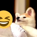 背筋ピーン！バーベ…