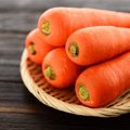犬がにんじんを食べ…