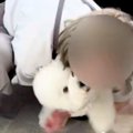 人間のことが苦手な…