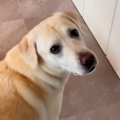なぜか暇になるとト…