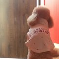 4泊5日の合宿へ出か…
