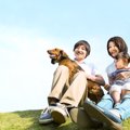 犬を迎えるときの心…