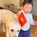 朝、1歳の女の子が『…